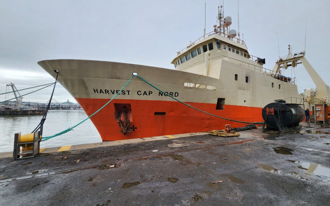 Trawler Blast Freezers